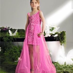 Alisa&Leo Elegant Pink Sequin dress